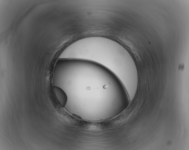 X0000095880308200801110811