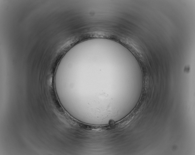 X0000095880310200801110811