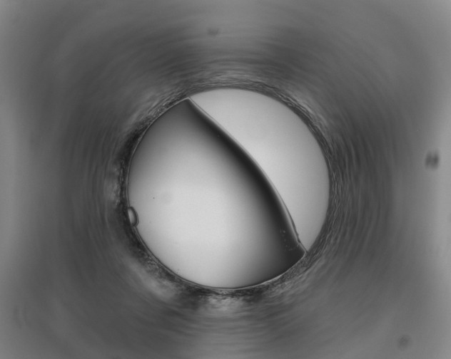 X0000095880311200801110811