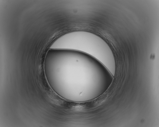 X0000095880312200801110811