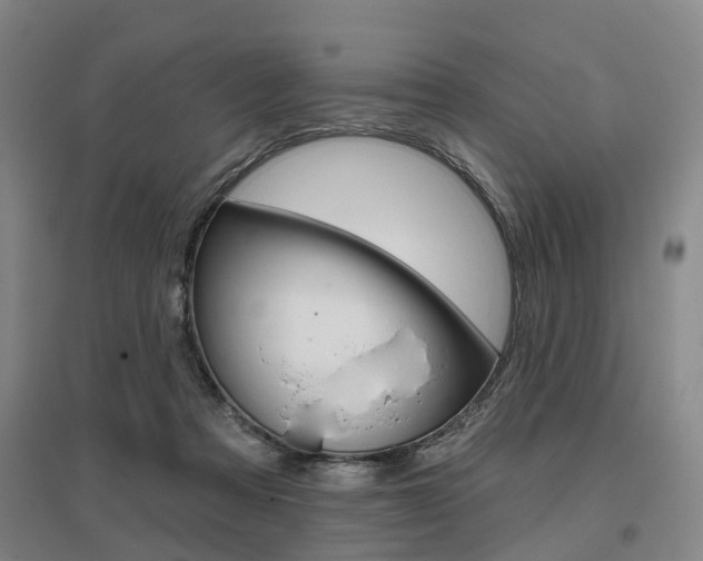X0000095880313200801110811