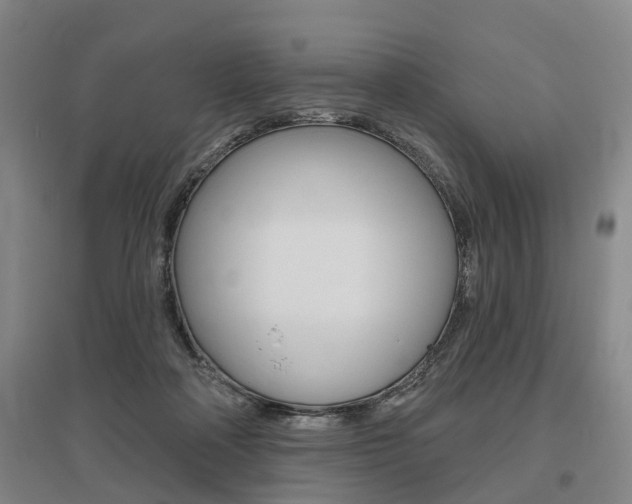 X0000095880314200801110811