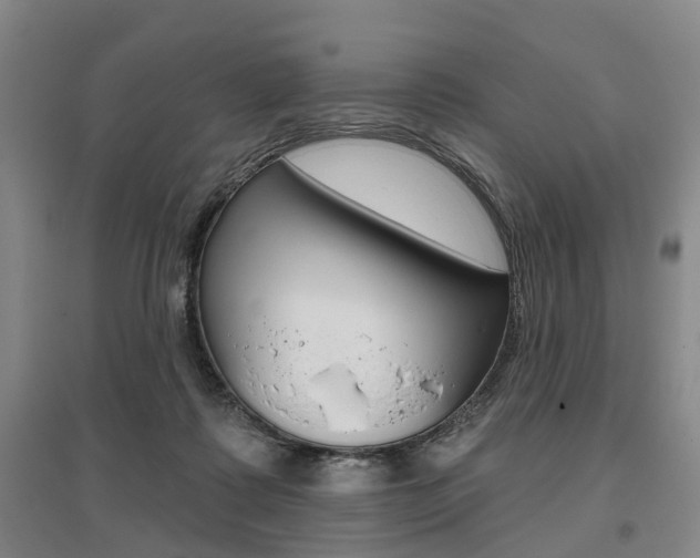 X0000095880315200801110811