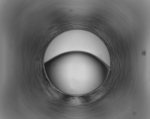 X0000095880316200801110811