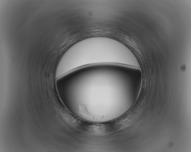 X0000095880317200801110811