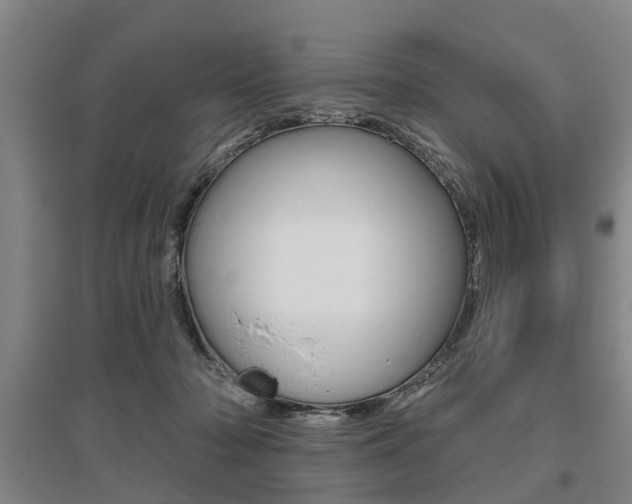 X0000095880318200801110811