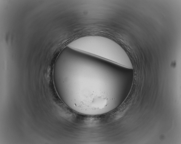 X0000095880319200801110811