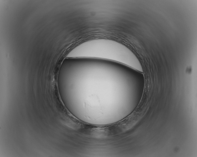 X0000095880320200801110811