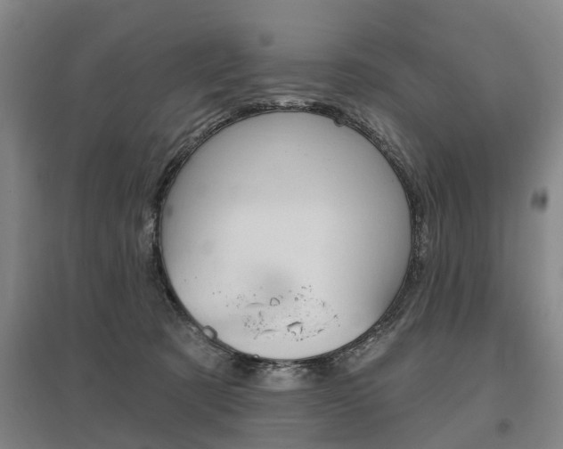 X0000095880321200801110811