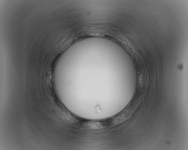 X0000095880322200801110811