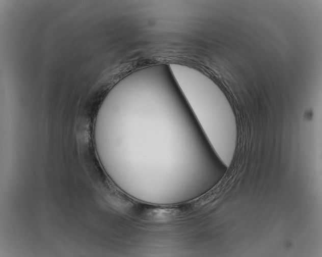 X0000095880323200801110811