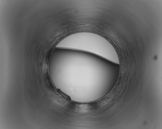 X0000095880324200801110811