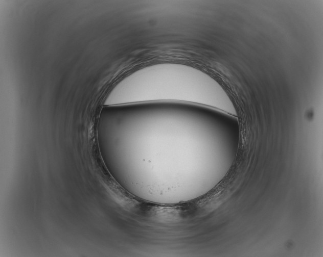 X0000095880327200801110811