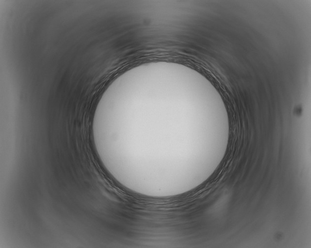 X0000095880328200801110811