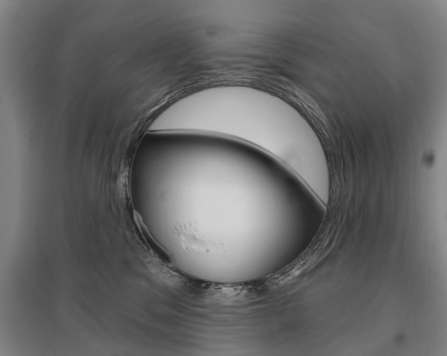 X0000095880329200801110811