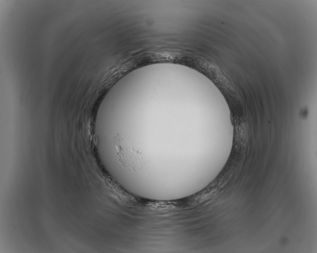 X0000095880331200801110810