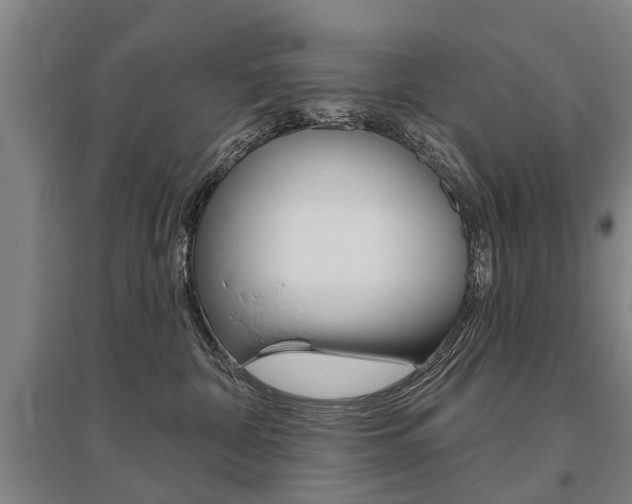 X0000095880332200801110810