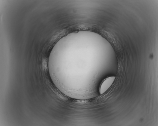 X0000095880335200801110810