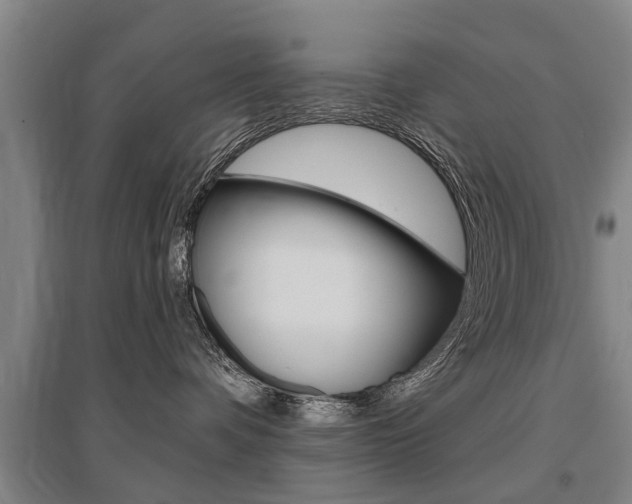 X0000095880336200801110810