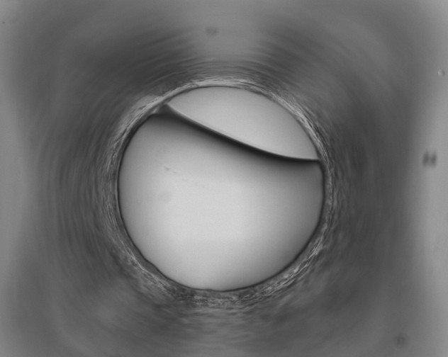 X0000095880337200801110810