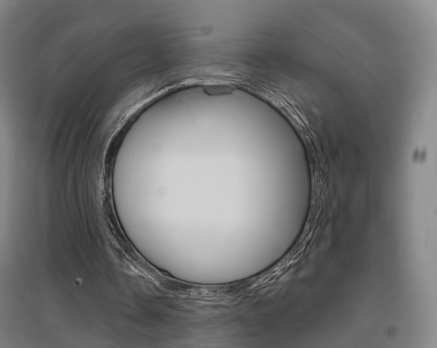 X0000095880338200801110810