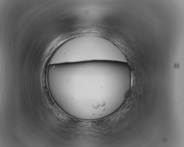 X0000095880339200801110810