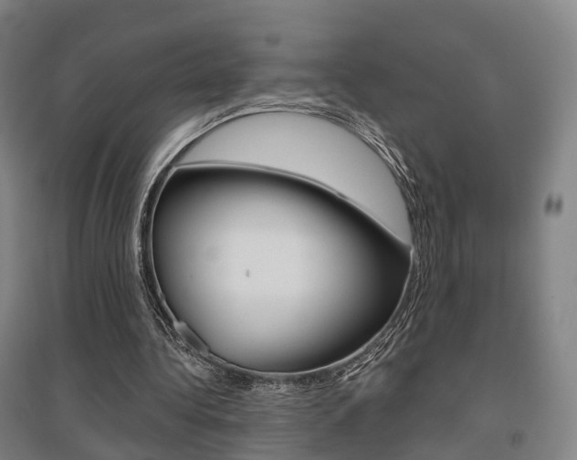 X0000095880340200801110810