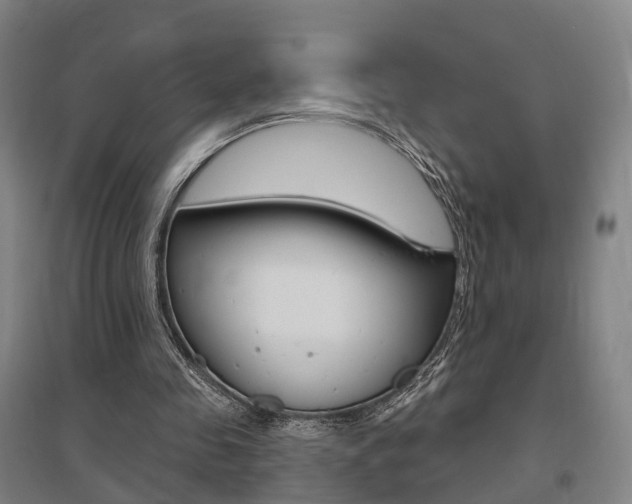 X0000095880341200801110810