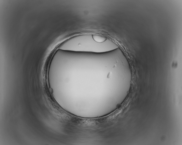X0000095880343200801110810