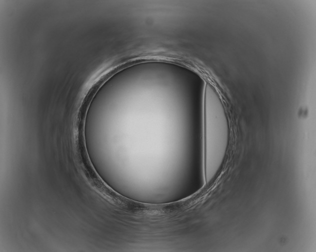 X0000095880344200801110810