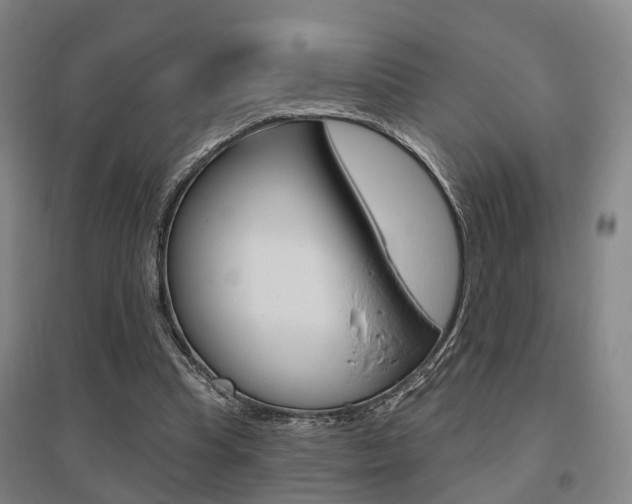 X0000095880345200801110810