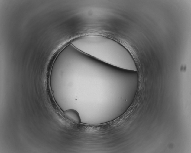 X0000095880346200801110810