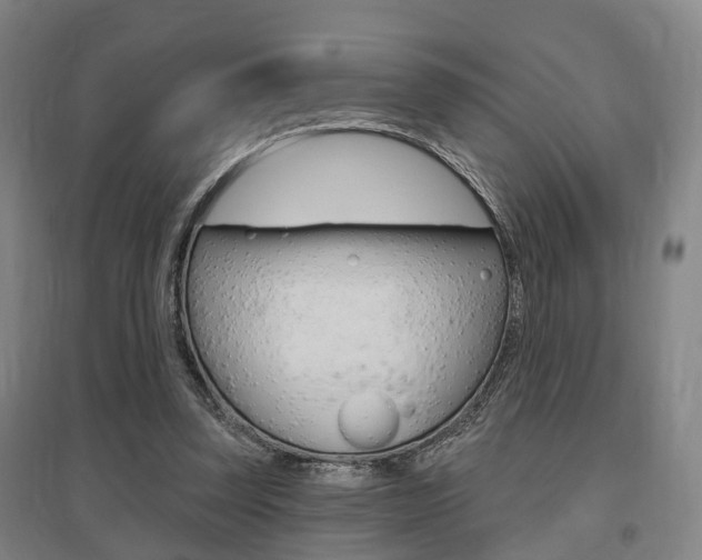 X0000095880347200801110810