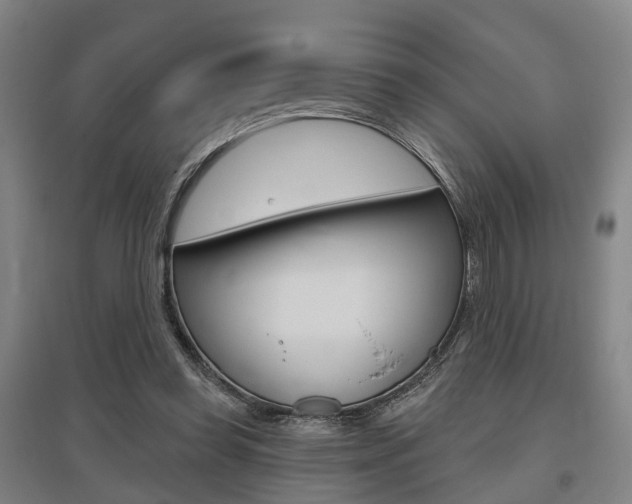 X0000095880349200801110810