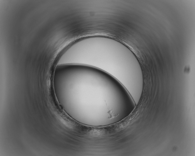 X0000095880350200801110810