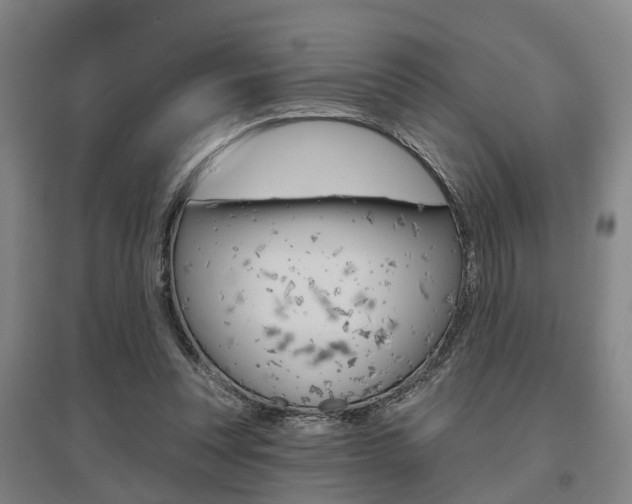X0000095880351200801110810