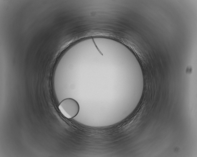 X0000095880352200801110810