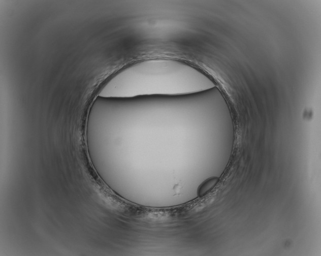 X0000095880353200801110810