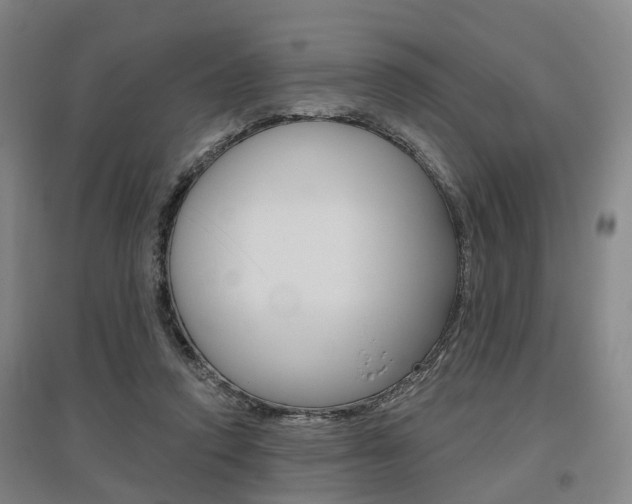 X0000095880354200801110810