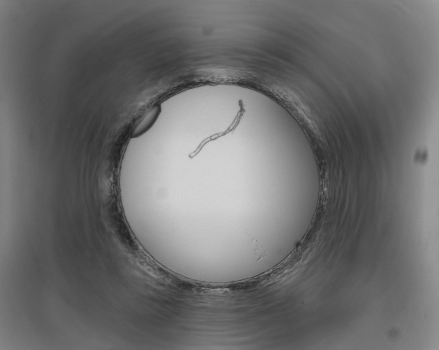 X0000095880355200801110810