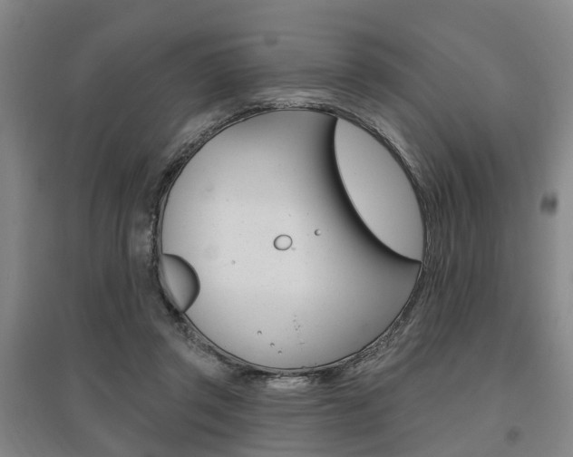 X0000095880357200801110810