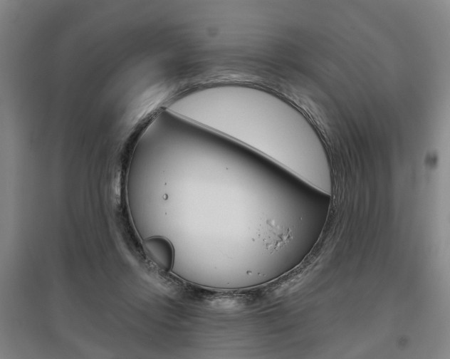 X0000095880358200801110810