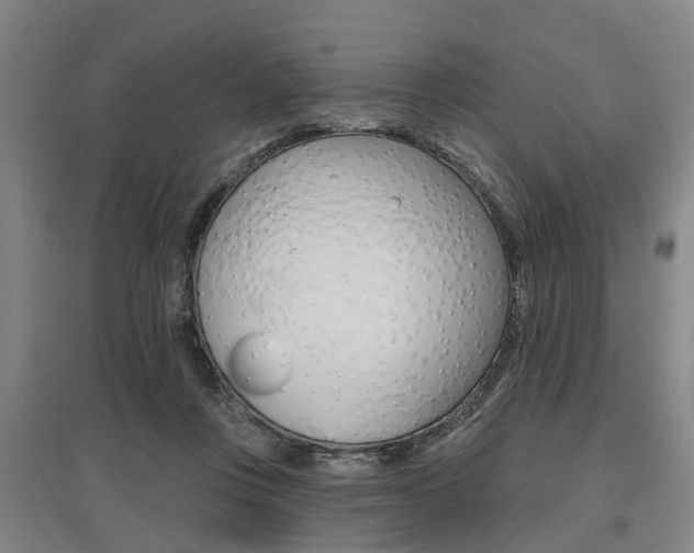 X0000095880359200801110810