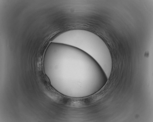 X0000095880360200801110810