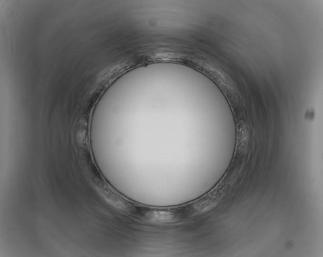 X0000095880361200801110810