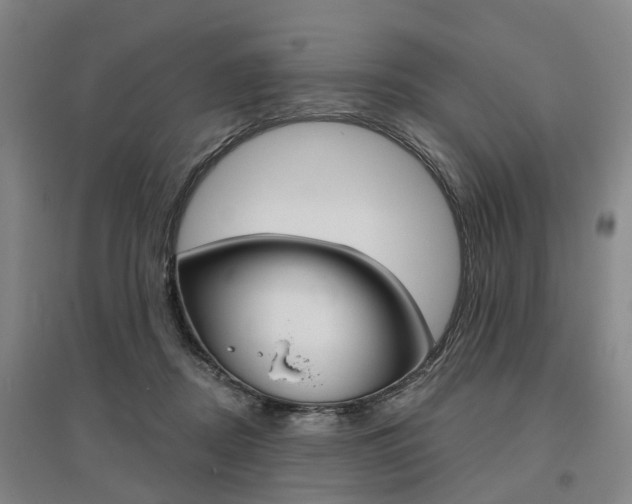 X0000095880362200801110810