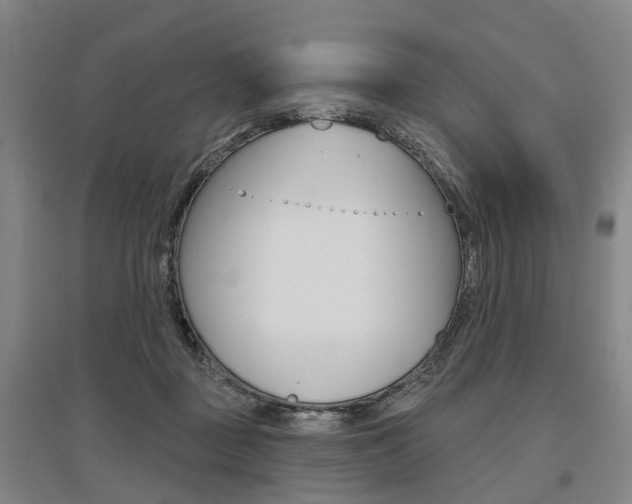 X0000095880363200801110810