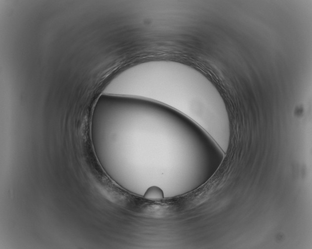 X0000095880364200801110810