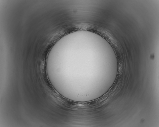 X0000095880365200801110810