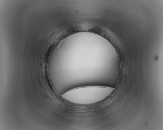 X0000095880366200801110810